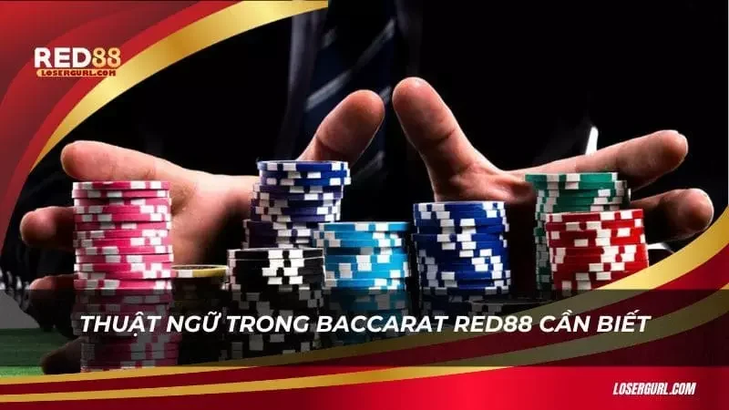 Các thuật ngữ cơ bản khi chơi Baccarat