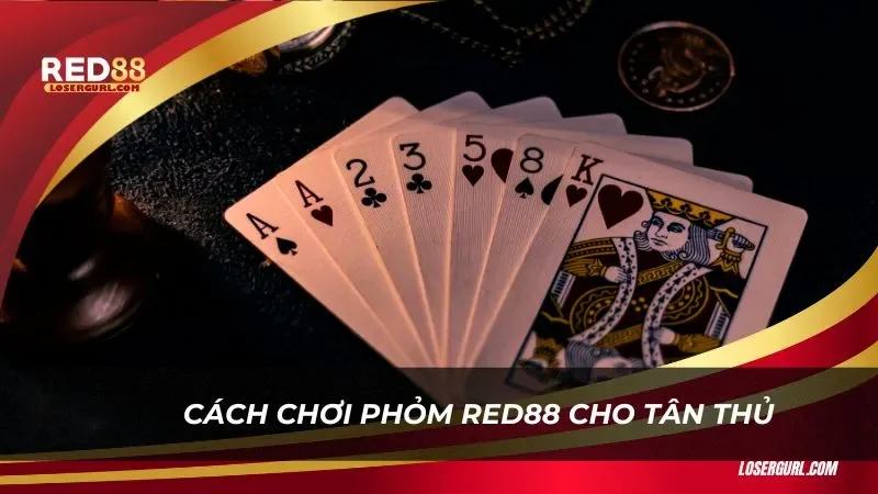 Hướng dẫn cách chơi Phỏm Red88 cho tân thủ